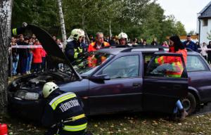 Pályaorientációs nap 2.